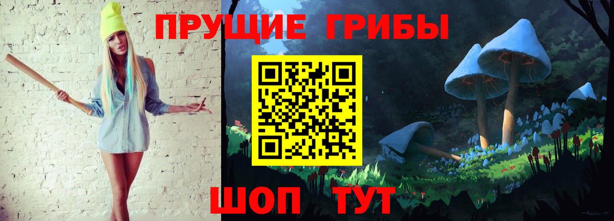 купить наркоту  Галлюциногенные грибы Magic Shrooms  Вход с VPN  Шебекино  Галлюциногенные грибы GOLDEN TEACHER 