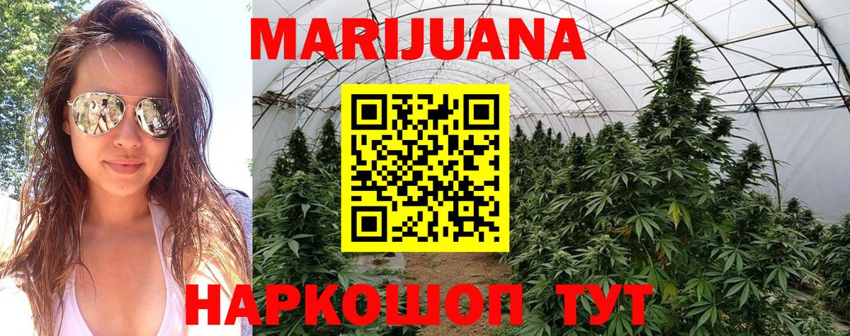 Бошки Шишки тримм Шебекино
